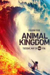 Animal Kingdom Season 4 (2019) แอนิมอล คิงดอม 4
